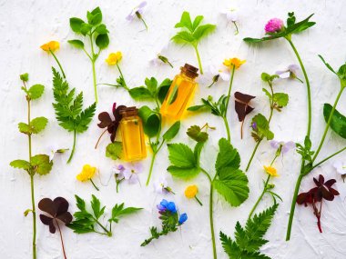 Esans düz taze bitkisel Kur ile şişe ahşap beyaz açayım.