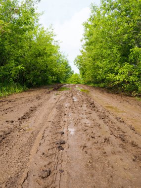 Islak çamurlu ülke road, köy yolunda tekerlek izleri ve su birikintileri