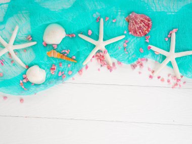 deniz kabuklarını, deniz taşları, deniz kavramı, tatil, kopya alanı, düz yatıyordu