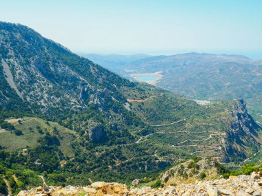 Yunanistan'a, güzel çam ağaçları dağlarında seyahat yaz dağ tepe yeşil, dağlık manzara