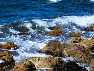 Kayalık sahil, denize karşı çarpan dalgalardan sıçramalarına olan lacivert beyaz sprey ile