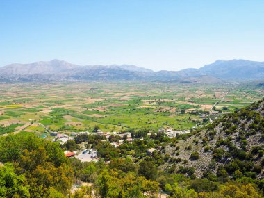 Yunanistan'a, güzel çam ağaçları dağlarında seyahat yaz dağ tepe yeşil, dağlık manzara