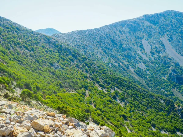Zomer berg piek groene, heuvelachtige landschap van het reizen naar Griekenland, mooie dennenbomen in de bergen — Stockfoto