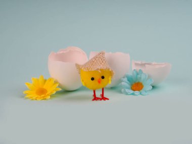 Üç kırık yumurta, kabuk, tavuk ve çiçek Paskalya konseri. Kırık yumurta çiçekleri Paskalya. Mavi kabuklu yumurta demeti. Yüzeyin derinliği, çiçeklerin yakınına odaklan. Paskalya konsepti