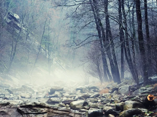 Mystique mimo sezónu lesní kameny řeky. Horský les se sv. — Stock fotografie