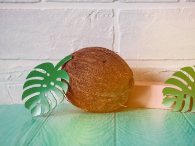 Palmiye ağaçlarının kağıt yapraklı hindistan cevizi. Yaz tatili kavramı.