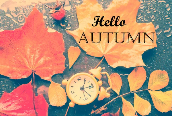 フィールドの浅い深さと暗い背景にカラフルな秋の葉の目覚まし時計。昼間の時間の概念を節約します。黄色の落ち葉や雨の背景に目覚まし時計。秋 — ストック写真