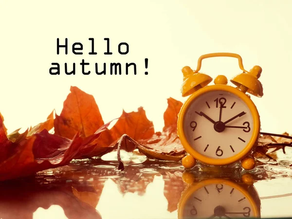 Alarm clock in colorful autumn leaves against a dark background with shallow depth of field. Daylight savings time concept. Alarm clock on a background of yellow fallen foliage and rain. Fall season — Stock Photo, Image