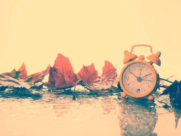Alarm clock in colorful autumn leaves against a dark background with shallow depth of field. Daylight savings time concept. Alarm clock on a background of yellow fallen foliage and rain. Fall season