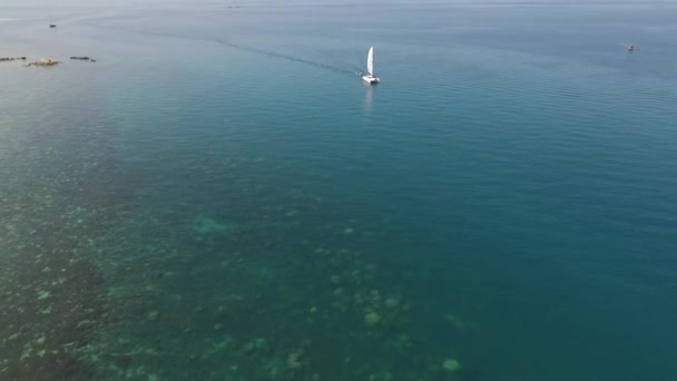 Luchtfoto van zeilboten lopen op de zee — Stockvideo