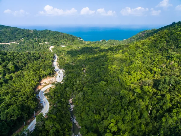 Luftaufnahme der Straße im Dschungel — Stockfoto