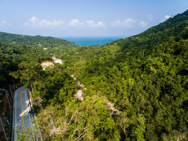 Luftaufnahme der Straße im Dschungel — Stockfoto