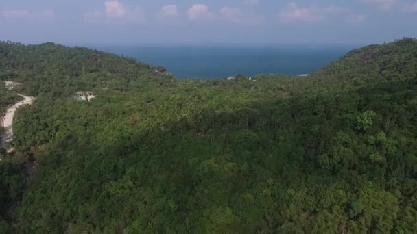 Vista aérea de la carretera en la selva — Vídeo de stock