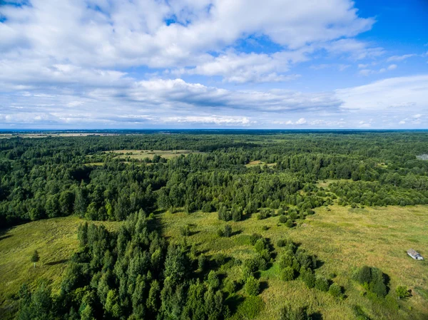 Vista aérea do campo verde com floresta na hora de verão — Fotografia de Stock