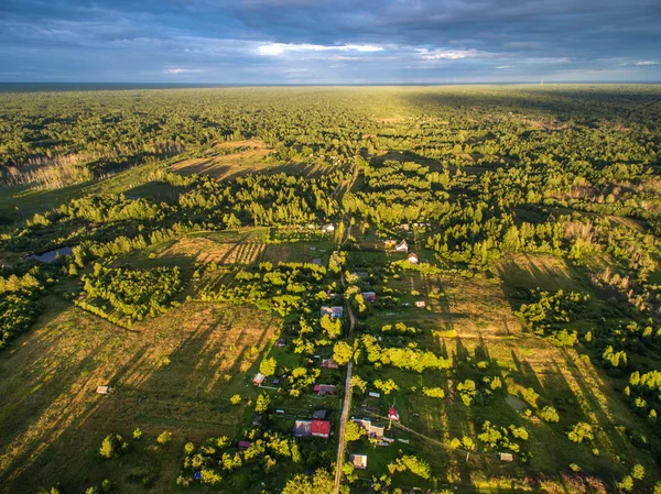 Vista aérea do campo verde com floresta na hora de verão — Fotografia de Stock