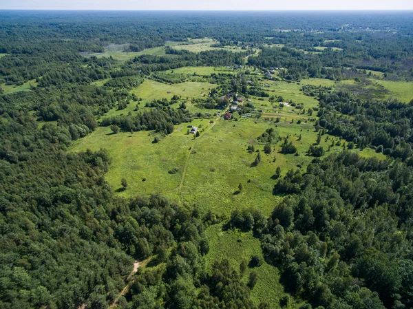 Vista aérea vista floresta e campo vista na hora de verão — Fotografia de Stock