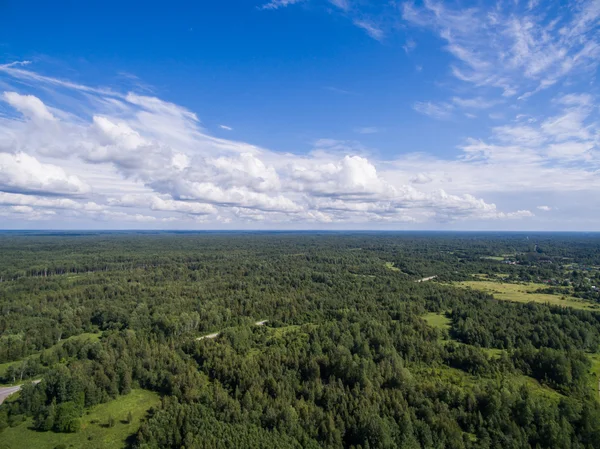 Vista aérea vista floresta e campo vista na hora de verão — Fotografia de Stock