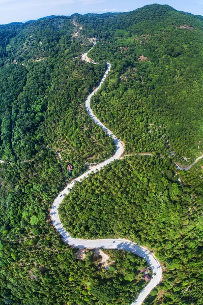 Vista aerea panoramica della strada nella giungla — Foto Stock