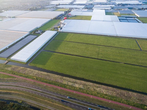 Vista aérea da estufa nos campos Países Baixos — Fotografia de Stock