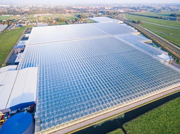 Aerial view of greenhouse in fields Netherlands — Stock Photo, Image