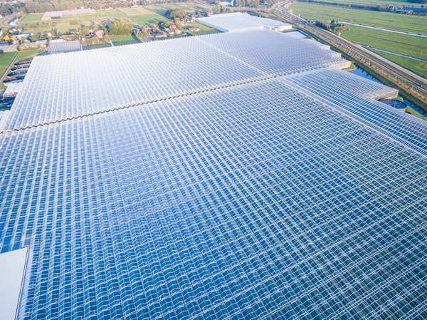 Aerial view of greenhouse in fields Netherlands — Stock Photo, Image