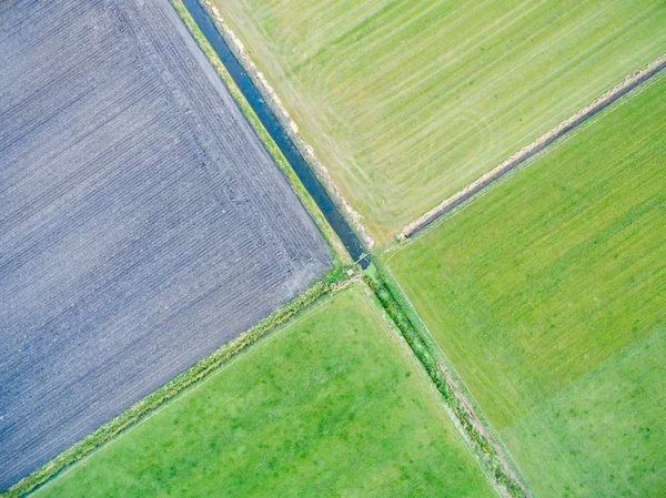 Vista aerea dei campi agricoli geometrici verdi nei Paesi Bassi — Foto Stock