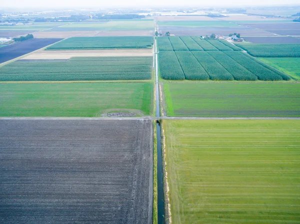 Пташиного польоту зелений геометричні сільськогосподарських полів в Нідерландах — стокове фото