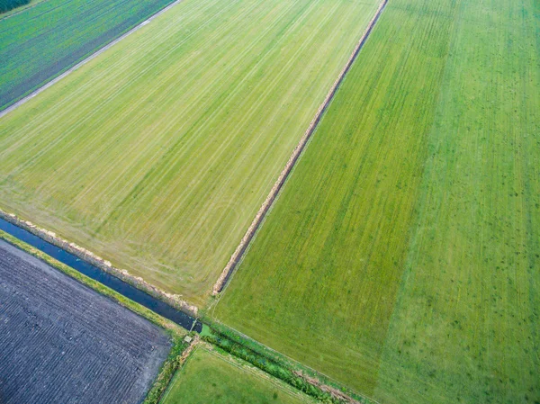 Vue aérienne des champs agricoles verts géométriques aux Pays-Bas — Photo