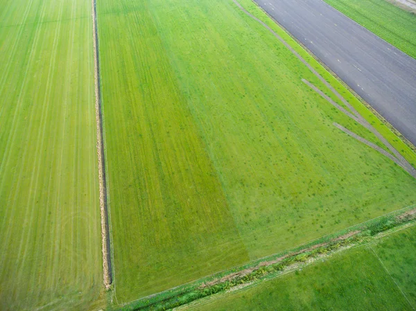 Vista aérea de campos agrícolas geométricos verdes en los Países Bajos — Foto de Stock