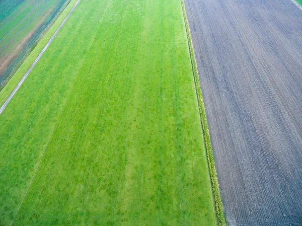 Vista aérea de campos agrícolas geométricos verdes nos Países Baixos — Fotografia de Stock