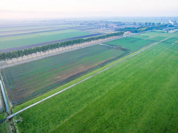 Luchtfoto van groene geometrische agrarische velden in Nederland — Stockfoto