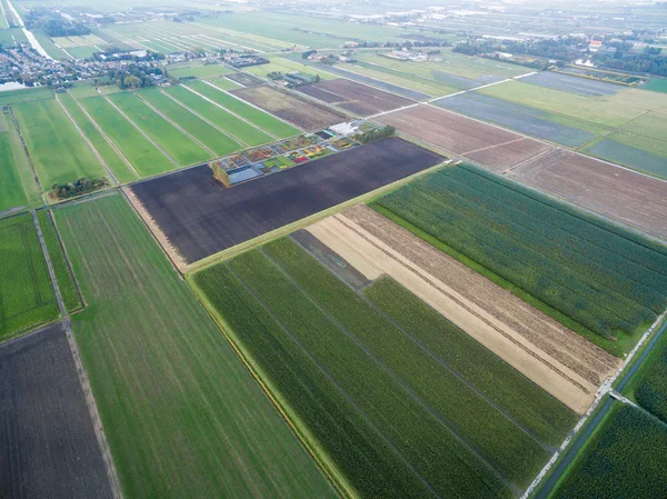 Luchtfoto van groene geometrische agrarische velden in Nederland — Stockfoto