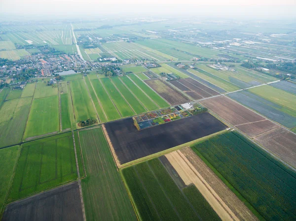 Luchtfoto van groene geometrische agrarische velden in Nederland — Stockfoto