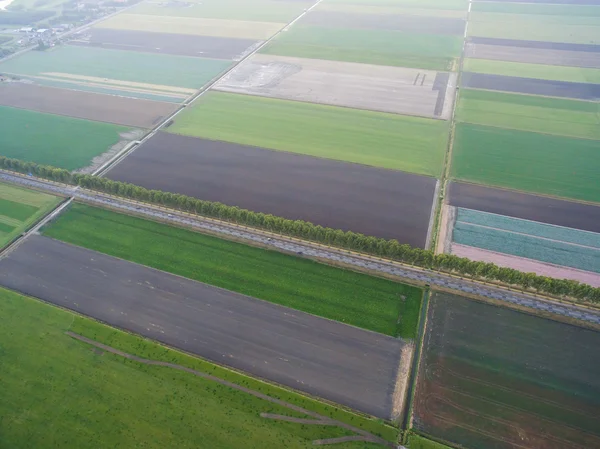 Luchtfoto van groene geometrische agrarische velden in Nederland — Stockfoto
