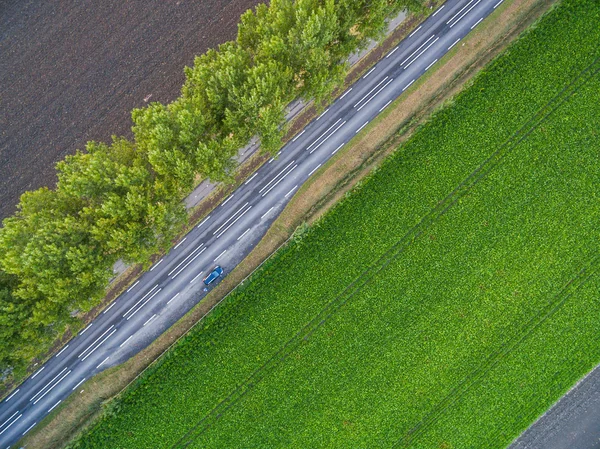 Vue aérienne des champs verts avec canaux aux Pays-Bas — Photo