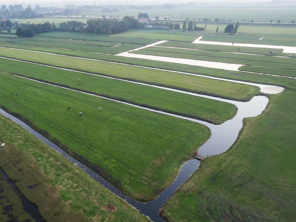 Luchtfoto van groene velden met grachten in Nederland — Stockfoto