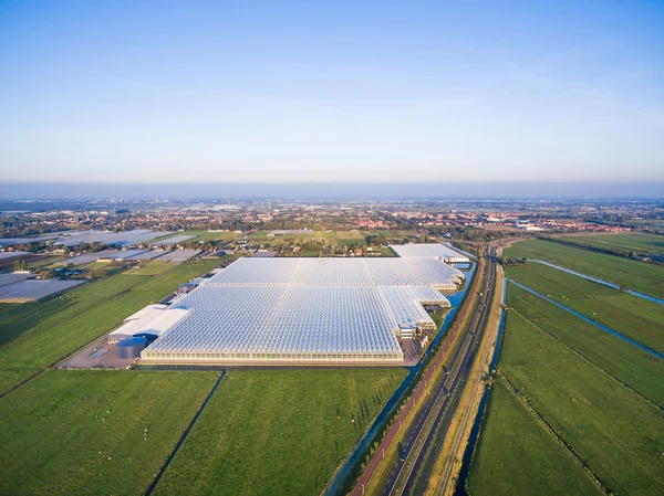 Vista aérea da estufa nos campos Países Baixos — Fotografia de Stock