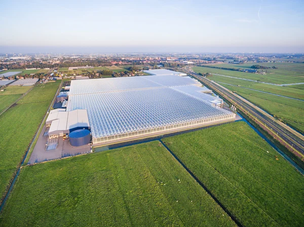 Vista aérea da estufa nos campos Países Baixos — Fotografia de Stock