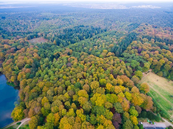 Floresta aérea e campos vista na Holanda na temporada de outono — Fotografia de Stock