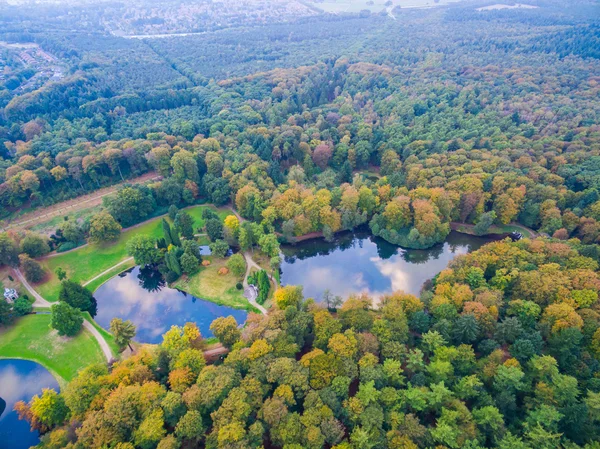 Bosque aéreo y vistas de campos en Holanda en la temporada de otoño — Foto de Stock