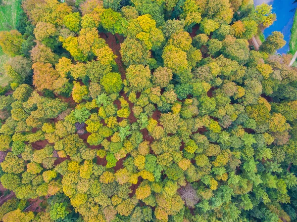 Luftaufnahme von Wäldern und Feldern in den Niederlanden zur Herbstzeit — Stockfoto