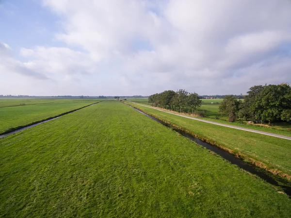 Luftaufnahme von grünen geometrischen landwirtschaftlichen Feldern in den Niederlanden — Stockfoto