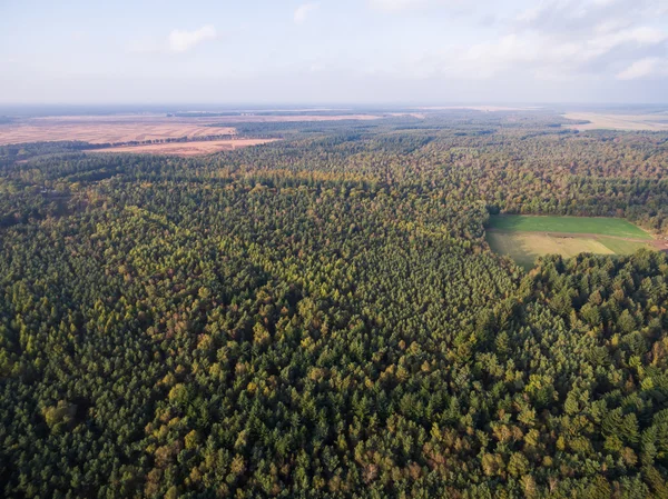 Luchtfoto inzake bossen en velden in Nederland op herfst seizoen — Stockfoto