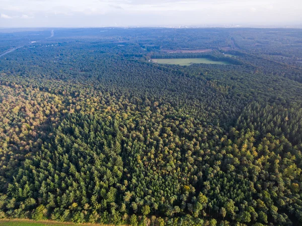 Floresta aérea e campos vista na Holanda na temporada de outono — Fotografia de Stock