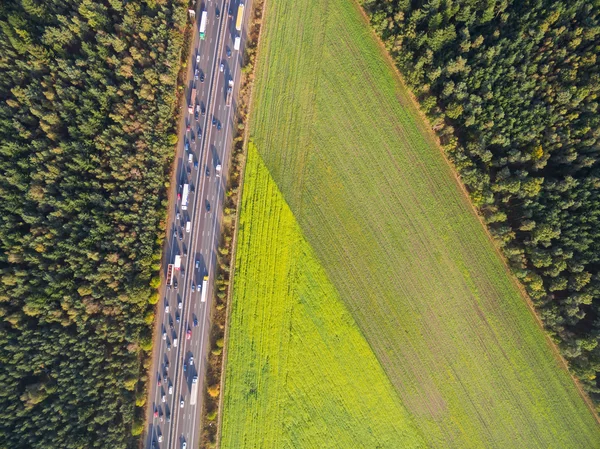 Grün bewirtschaftete Felder an der Autobahn in den Niederlanden — Stockfoto