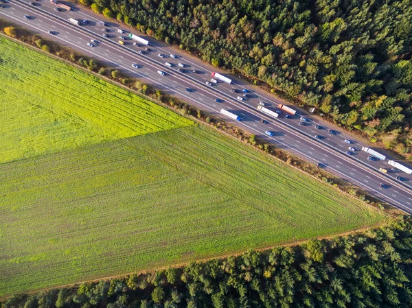 Green cultivated fields by highway in Netherlands — Stock Photo, Image