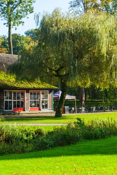 Tradiční smal a roztomilý dům v Holandsku — Stock fotografie