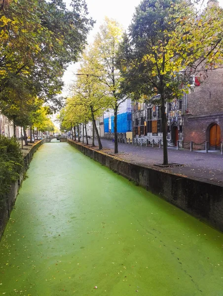 La vista del canal en Delft, Países Bajos — Foto de Stock