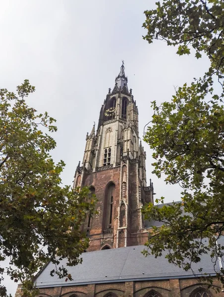 De weergave van de gotische kathedraal in Delft — Stockfoto
