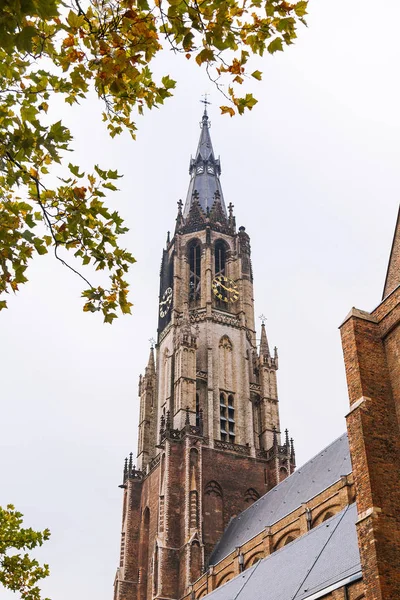 La vue de la cathédrale gothique de Delft Image En Vente